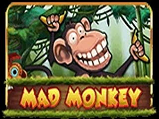 Mad Monkey